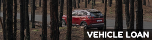 VEHICLE LOAN VEHICLE LOAN
